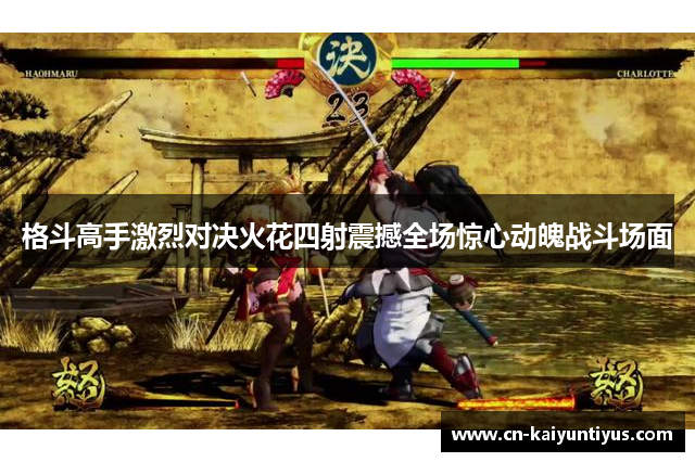格斗高手激烈对决火花四射震撼全场惊心动魄战斗场面