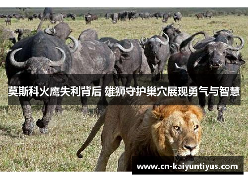 莫斯科火鹰失利背后 雄狮守护巢穴展现勇气与智慧