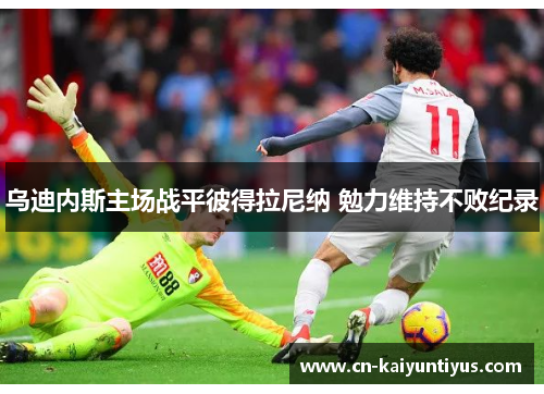 乌迪内斯主场战平彼得拉尼纳 勉力维持不败纪录