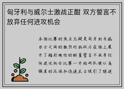 匈牙利与威尔士激战正酣 双方誓言不放弃任何进攻机会
