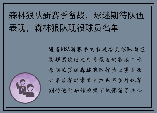 森林狼队新赛季备战，球迷期待队伍表现，森林狼队现役球员名单